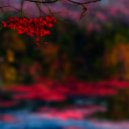 Medatanai - 病気の音楽 ()