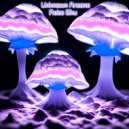 Robo Zhu - Unknown Arcana ()