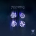 Andrea Senatore - Ruins