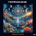 Terra Nine & Terranine In Psy - Discovery