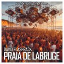 David Flashback - Labruge