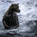 Seventh Stranger - QR CODE