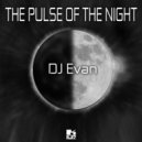 DJ Evan - Black Swan ()