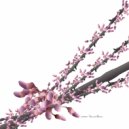 Luciano - Yamoré Remix