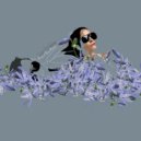 Los Updates - Some Pictures Of You