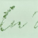 Luciano - Afghan Birds