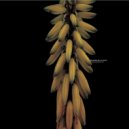 Eduardo De La Calle - Madhusudhana