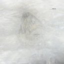 Rebelski - The Rift Valley