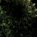 Cesar Merveille - Kraftone