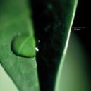 Davide Squillace - Blossom