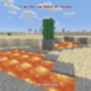 Orientine - I am the new Board of Canada ()