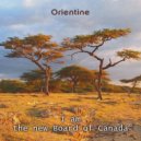 Orientine - I am the new Board of Canada ()
