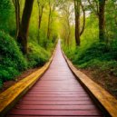 EvDjenTiy - The Traversed path ()