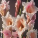 Veels - It Was Then ()