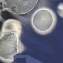 Dissembler - Centurion (Warrior Mix)