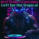 Deep Scarlett Wilsons - Extension in Kitchen ()