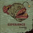 Yasinskiy - Experience ()