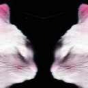 X V L ! ! ! - COUGHT ()