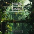 P4sc4l - Jungle