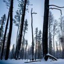 MK2236 - Finnish Winter ()