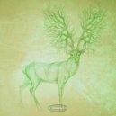 Riffle Shuffle - Morphology