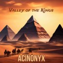 ACINONYX - Valley of the Kings ()