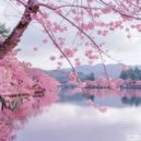 Ashig - Hurt By My Luck ()