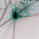 quanta2 - abelouis ()