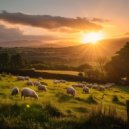 Tambam - Mountaintales ()