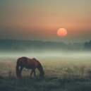 Willa Bouler - Beyond the Nightfall ()