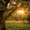 ozerzim - Delayin ()