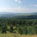 MK2236 & BORISU - rest in the forest ()