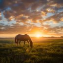 Unozatflex - The Beginning ()