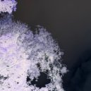 quanta2 - настроение статично ()