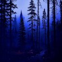 crdcon - not returned ()