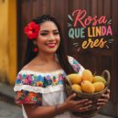 Ayda Noir - Rosa Que Linda Eres (Remix Radio Version)