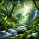 Rainforest Rhythms Collective - Tropical Dawn ()