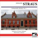 Orchestra of Vienna Volksoper - Strauss - Leichtes Blut - Light Blood Op. 319 ()