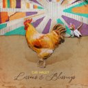 Cas Haley - What Would You Build