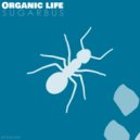 SugarBus - The organic life