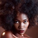 Laquita Ledebuhr - Swinish Model (Original Mix)