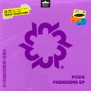 Pods - Lejos (Original Mix)