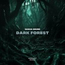 Sasha Sound - Dark Forest (Original Mix)