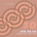 Joe Silva - Now Or Never (Original Mix)