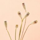 Weldon Atala - Dismal Mountain (Original Mix)