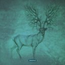 Ahrwald - Impulse Responses