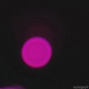 konoply9 - believe ()