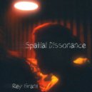 Rey Grant - Spatial Dissonance ()