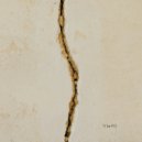 VIMINØR - Under The Weather (Original Mix)