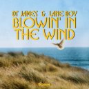 DT James & Lane Boy - Blowin\' in the Wind ()